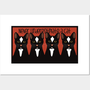 Never underestimate the power of a black cat. Black cats on a red background Posters and Art